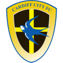 Cardiff City icon